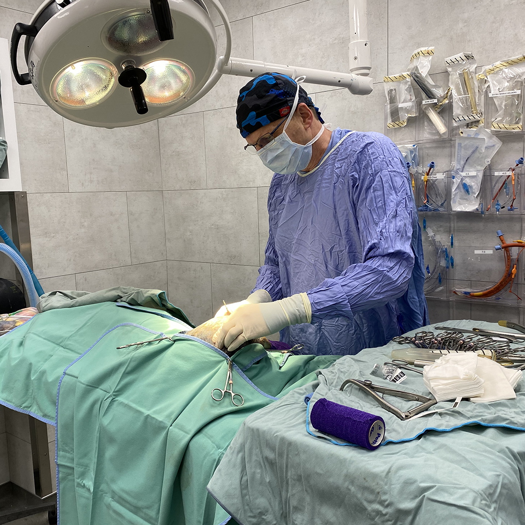 a surgeon in a sterile operating theater