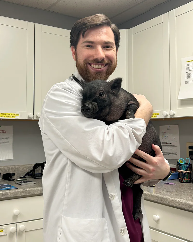 Dr. Andrew Rothschild, a veterinarian in a white coat, is holding a small, black piglet close to his chest while smiling warmly at the camera. The setting appears to be a veterinary clinic, with cabinets and medical supplies visible in the background. The piglet looks calm and comfortable in Dr. Rothschild's arms.