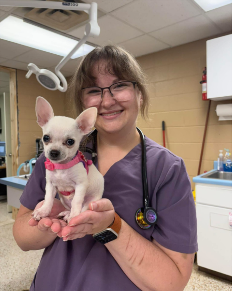 Dr. Andrew Rothschild, a veterinarian in a white coat, is holding a small, black piglet close to his chest while smiling warmly at the camera. The setting appears to be a veterinary clinic, with cabinets and medical supplies visible in the background. The piglet looks calm and comfortable in Dr. Rothschild's arms.