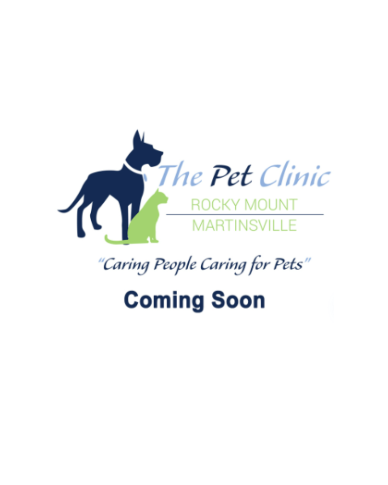 coming soon placeholder